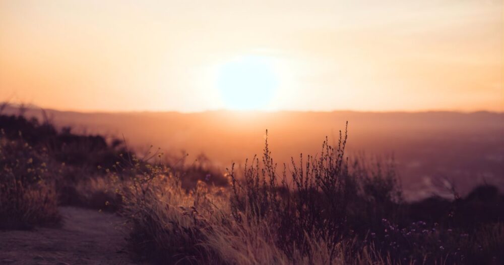 山の稜線から昇る朝陽と草原を照らすやわらかな光